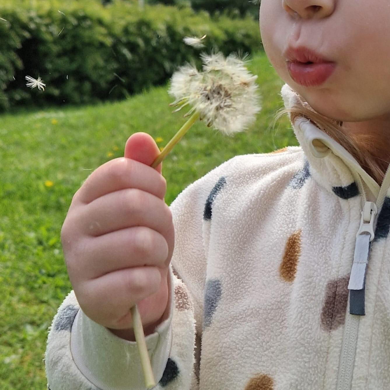 Pusteblume Kind mit Pusteblume